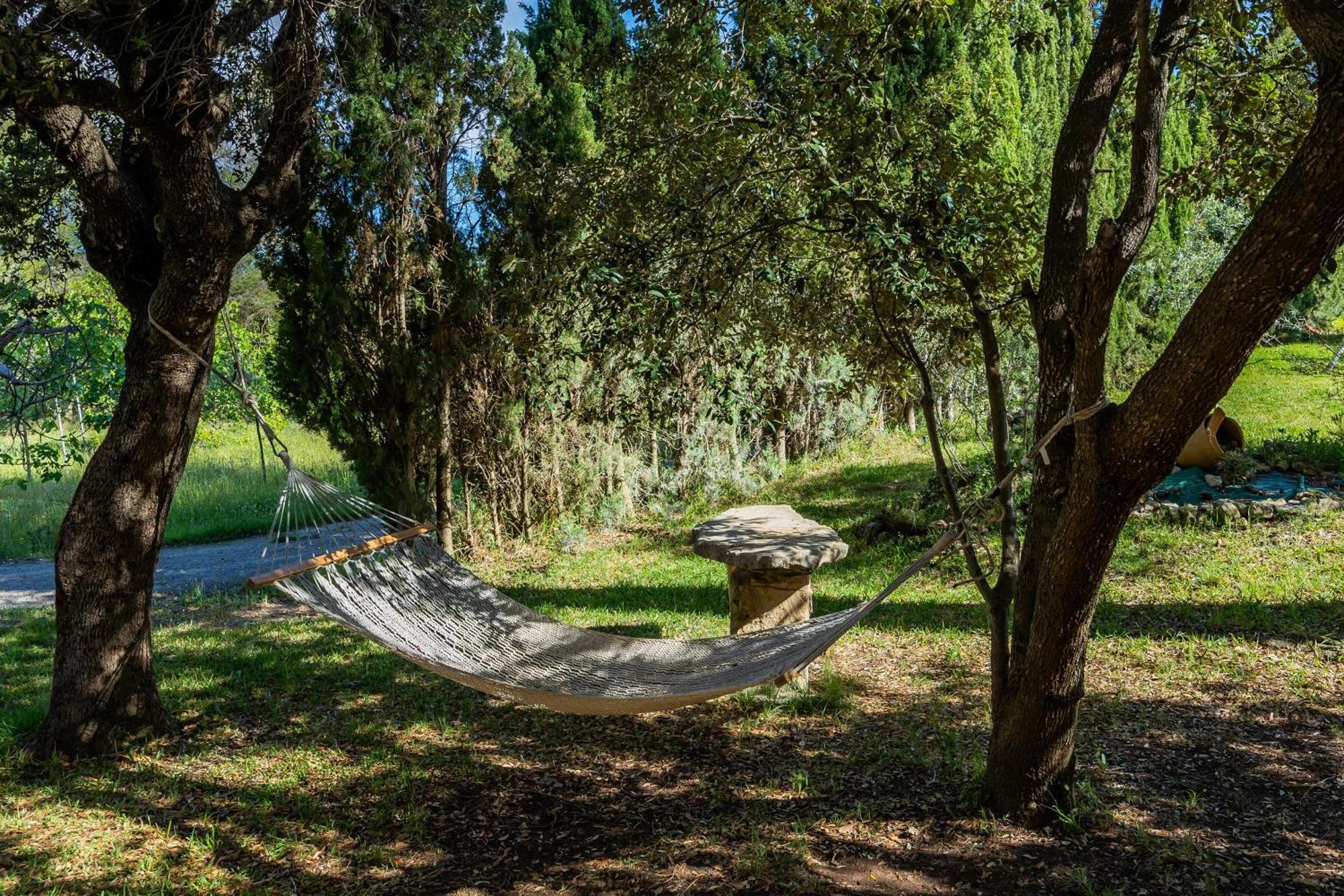Sa Soll S'hort De Sa Begura